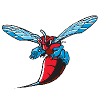 Delaware State Logo